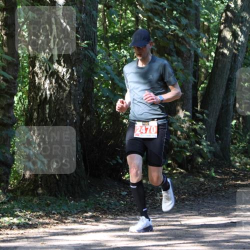 28.09.2025 - 33. Volkslauf durch das schöne Alstertal Strokosch-Dieckow http://msf.ph/oto/8971218 28.09.2025 12:09:58 Laufen 2470 meine-sportfotos.de