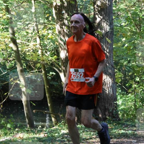 28.09.2025 - 33. Volkslauf durch das schöne Alstertal Strokosch-Dieckow http://msf.ph/oto/8971225 28.09.2025 12:10:09 Laufen 2592 meine-sportfotos.de
