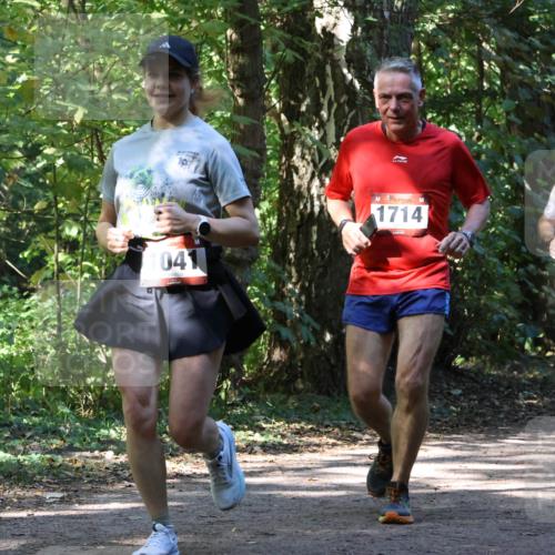 28.09.2025 - 33. Volkslauf durch das schöne Alstertal Strokosch-Dieckow http://msf.ph/oto/8971231 28.09.2025 12:10:20 Laufen 041, 1714 meine-sportfotos.de