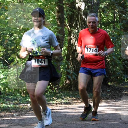 28.09.2025 - 33. Volkslauf durch das schöne Alstertal Strokosch-Dieckow http://msf.ph/oto/8971232 28.09.2025 12:10:20 Laufen 10, 1041, 1714 meine-sportfotos.de