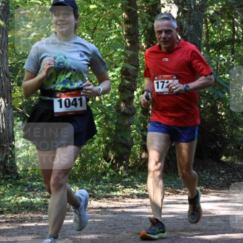 28.09.2025 - 33. Volkslauf durch das schöne Alstertal Strokosch-Dieckow http://msf.ph/oto/8971235 28.09.2025 12:10:20 Laufen 1041, 17, 094 meine-sportfotos.de
