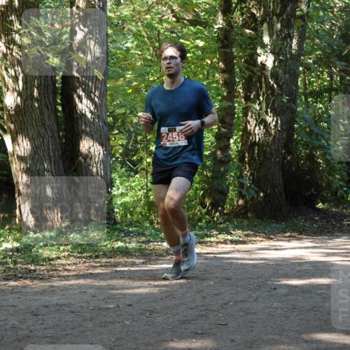 28.09.2025 - 33. Volkslauf durch das schöne Alstertal Strokosch-Dieckow http://msf.ph/oto/8971240 28.09.2025 12:10:28 Laufen 2458 meine-sportfotos.de