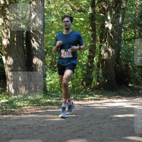 28.09.2025 - 33. Volkslauf durch das schöne Alstertal Strokosch-Dieckow http://msf.ph/oto/8971242 28.09.2025 12:10:28 Laufen 2458 meine-sportfotos.de