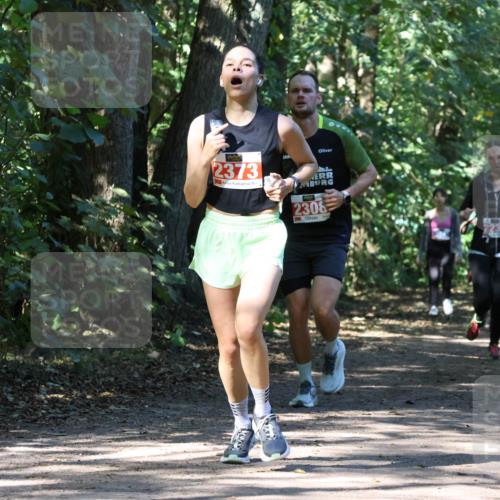 28.09.2025 - 33. Volkslauf durch das schöne Alstertal Strokosch-Dieckow http://msf.ph/oto/8971243 28.09.2025 12:10:31 Laufen 2373, 2308, 1062 meine-sportfotos.de