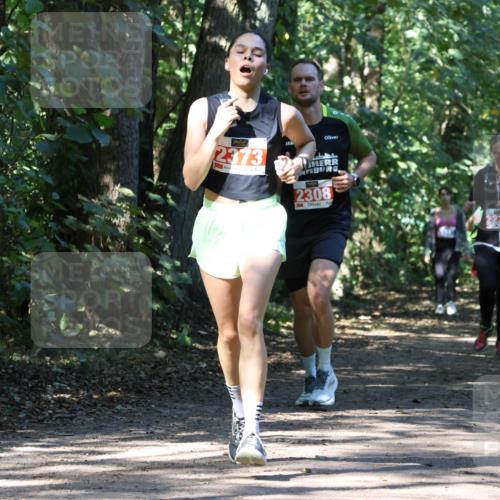 28.09.2025 - 33. Volkslauf durch das schöne Alstertal Strokosch-Dieckow http://msf.ph/oto/8971244 28.09.2025 12:10:31 Laufen 2373, 2308, 1062 meine-sportfotos.de
