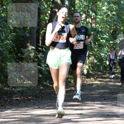 28.09.2025 - 33. Volkslauf durch das schöne Alstertal Strokosch-Dieckow http://msf.ph/oto/8971245 28.09.2025 12:10:32 Laufen 2373, 2308, 062 meine-sportfotos.de