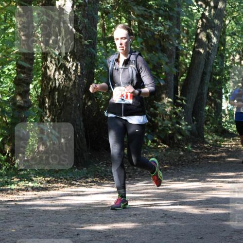 28.09.2025 - 33. Volkslauf durch das schöne Alstertal Strokosch-Dieckow http://msf.ph/oto/8971249 28.09.2025 12:10:37 Laufen 231, 1062 meine-sportfotos.de