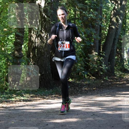 28.09.2025 - 33. Volkslauf durch das schöne Alstertal Strokosch-Dieckow http://msf.ph/oto/8971252 28.09.2025 12:10:37 Laufen 2231, 1062 meine-sportfotos.de