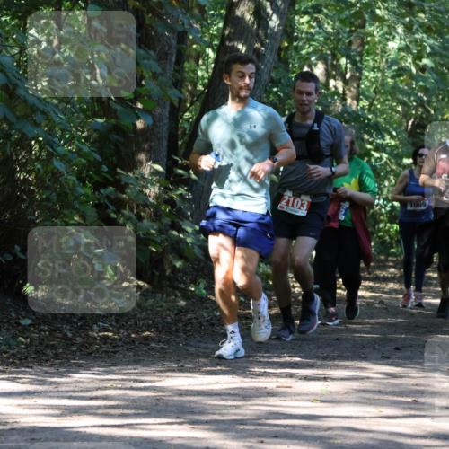 28.09.2025 - 33. Volkslauf durch das schöne Alstertal Strokosch-Dieckow http://msf.ph/oto/8971258 28.09.2025 12:10:43 Laufen 2103, 1069 meine-sportfotos.de