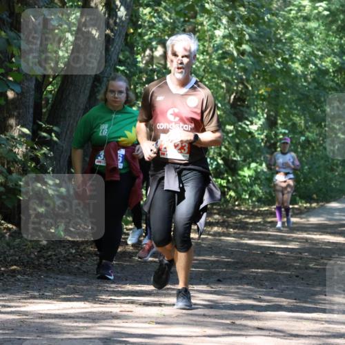 28.09.2025 - 33. Volkslauf durch das schöne Alstertal Strokosch-Dieckow http://msf.ph/oto/8971265 28.09.2025 12:10:46 Laufen 23 meine-sportfotos.de