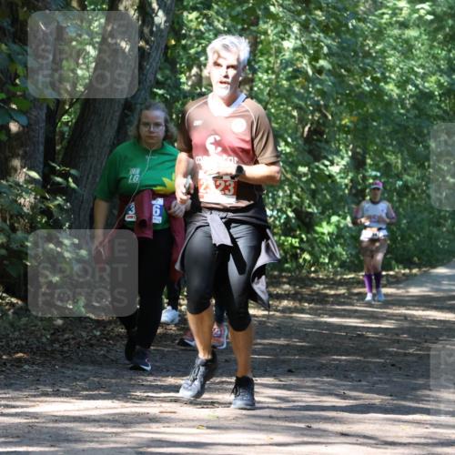 28.09.2025 - 33. Volkslauf durch das schöne Alstertal Strokosch-Dieckow http://msf.ph/oto/8971266 28.09.2025 12:10:46 Laufen 799 meine-sportfotos.de