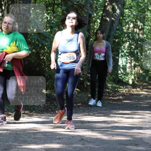 28.09.2025 - 33. Volkslauf durch das schöne Alstertal Strokosch-Dieckow http://msf.ph/oto/8971271 28.09.2025 12:10:50 Laufen 1069, 3245 meine-sportfotos.de