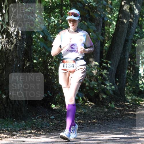 28.09.2025 - 33. Volkslauf durch das schöne Alstertal Strokosch-Dieckow http://msf.ph/oto/8971278 28.09.2025 12:10:58 Laufen 1134 meine-sportfotos.de