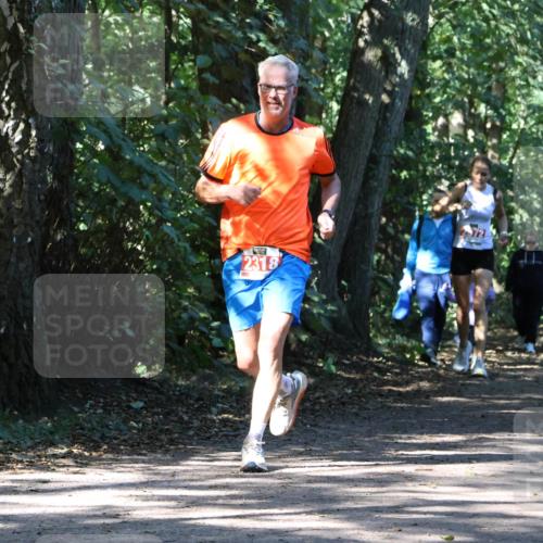 28.09.2025 - 33. Volkslauf durch das schöne Alstertal Strokosch-Dieckow http://msf.ph/oto/8971283 28.09.2025 12:11:20 Laufen 2318 meine-sportfotos.de