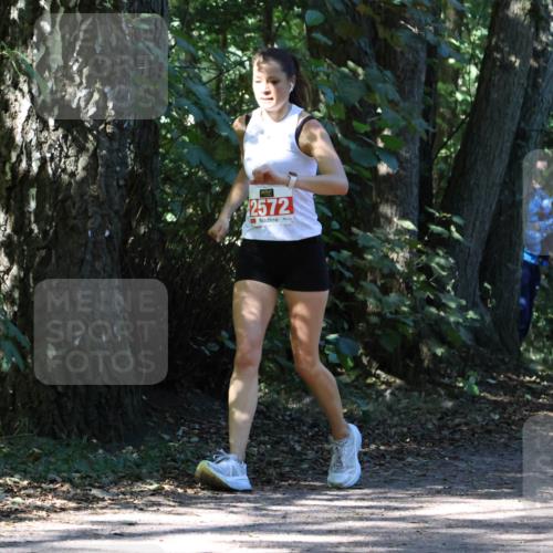 28.09.2025 - 33. Volkslauf durch das schöne Alstertal Strokosch-Dieckow http://msf.ph/oto/8971286 28.09.2025 12:11:25 Laufen 2572 meine-sportfotos.de