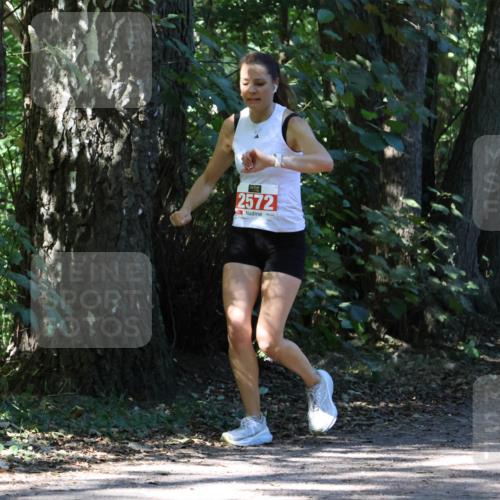 28.09.2025 - 33. Volkslauf durch das schöne Alstertal Strokosch-Dieckow http://msf.ph/oto/8971288 28.09.2025 12:11:25 Laufen 2572 meine-sportfotos.de