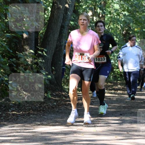 28.09.2025 - 33. Volkslauf durch das schöne Alstertal Strokosch-Dieckow http://msf.ph/oto/8971291 28.09.2025 12:11:31 Laufen 2189, 1033, 2284 meine-sportfotos.de