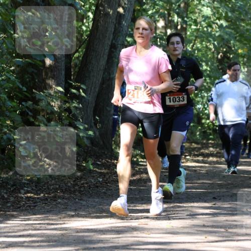 28.09.2025 - 33. Volkslauf durch das schöne Alstertal Strokosch-Dieckow http://msf.ph/oto/8971292 28.09.2025 12:11:31 Laufen 218, 1033, 2284 meine-sportfotos.de