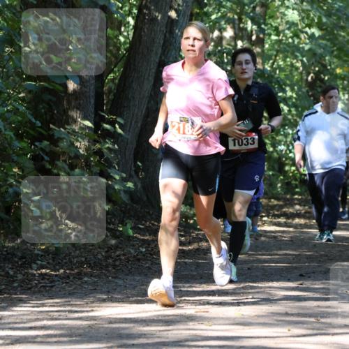 28.09.2025 - 33. Volkslauf durch das schöne Alstertal Strokosch-Dieckow http://msf.ph/oto/8971293 28.09.2025 12:11:31 Laufen 218, 1033, 2284 meine-sportfotos.de