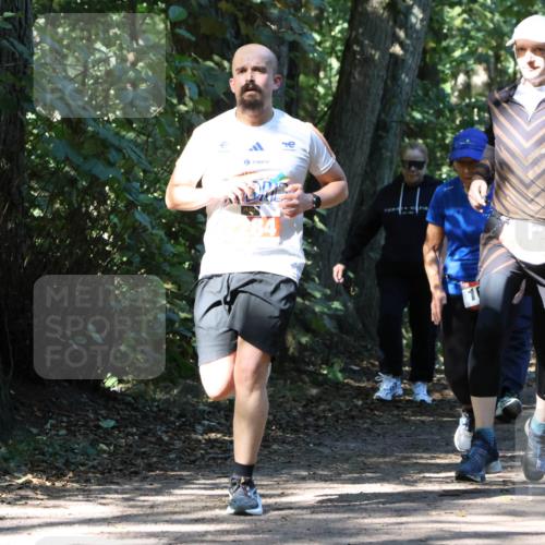 28.09.2025 - 33. Volkslauf durch das schöne Alstertal Strokosch-Dieckow http://msf.ph/oto/8971295 28.09.2025 12:11:35 Laufen 1, 210 meine-sportfotos.de