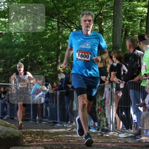 28.09.2025 - 33. Volkslauf durch das schöne Alstertal Strokosch-Dieckow http://msf.ph/oto/8971296 28.09.2025 11:53:16 Ziel 1573, 1600, 1605 meine-sportfotos.de