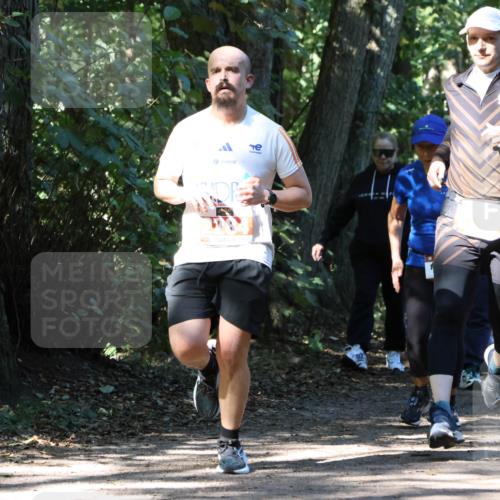28.09.2025 - 33. Volkslauf durch das schöne Alstertal Strokosch-Dieckow http://msf.ph/oto/8971297 28.09.2025 12:11:35 Laufen  meine-sportfotos.de