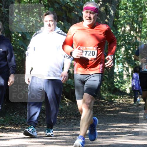 28.09.2025 - 33. Volkslauf durch das schöne Alstertal Strokosch-Dieckow http://msf.ph/oto/8971305 28.09.2025 12:11:42 Laufen 1985, 720, 2518 meine-sportfotos.de