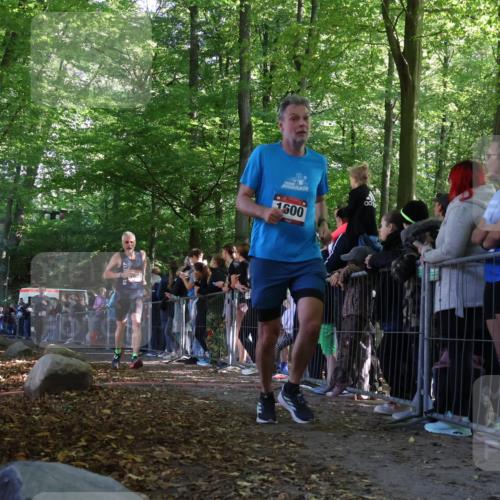28.09.2025 - 33. Volkslauf durch das schöne Alstertal Strokosch-Dieckow http://msf.ph/oto/8971313 28.09.2025 11:53:17 Ziel 1573, 1600, 1605 meine-sportfotos.de