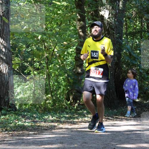 28.09.2025 - 33. Volkslauf durch das schöne Alstertal Strokosch-Dieckow http://msf.ph/oto/8971323 28.09.2025 12:12:00 Laufen 1, 1, 2017 meine-sportfotos.de