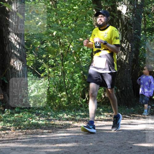 28.09.2025 - 33. Volkslauf durch das schöne Alstertal Strokosch-Dieckow http://msf.ph/oto/8971325 28.09.2025 12:12:01 Laufen 1, 1 meine-sportfotos.de