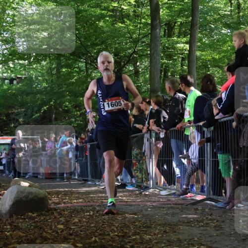 28.09.2025 - 33. Volkslauf durch das schöne Alstertal Strokosch-Dieckow http://msf.ph/oto/8971326 28.09.2025 11:53:18 Ziel 1573, 1600, 1605 meine-sportfotos.de