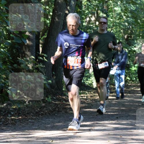 28.09.2025 - 33. Volkslauf durch das schöne Alstertal Strokosch-Dieckow http://msf.ph/oto/8971328 28.09.2025 12:12:07 Laufen 2019, 1730 meine-sportfotos.de