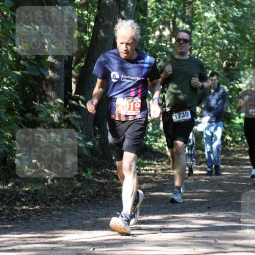 28.09.2025 - 33. Volkslauf durch das schöne Alstertal Strokosch-Dieckow http://msf.ph/oto/8971329 28.09.2025 12:12:07 Laufen 2019, 1730 meine-sportfotos.de