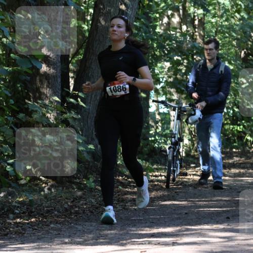 28.09.2025 - 33. Volkslauf durch das schöne Alstertal Strokosch-Dieckow http://msf.ph/oto/8971336 28.09.2025 12:12:11 Laufen 1086 meine-sportfotos.de