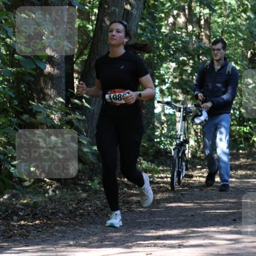 28.09.2025 - 33. Volkslauf durch das schöne Alstertal Strokosch-Dieckow http://msf.ph/oto/8971337 28.09.2025 12:12:11 Laufen 08, 1050 meine-sportfotos.de