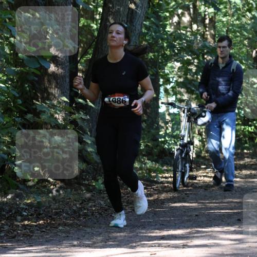 28.09.2025 - 33. Volkslauf durch das schöne Alstertal Strokosch-Dieckow http://msf.ph/oto/8971338 28.09.2025 12:12:11 Laufen 1059, 980 meine-sportfotos.de