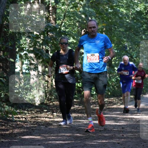 28.09.2025 - 33. Volkslauf durch das schöne Alstertal Strokosch-Dieckow http://msf.ph/oto/8971340 28.09.2025 12:12:19 Laufen 1055, 2999, 1728 meine-sportfotos.de