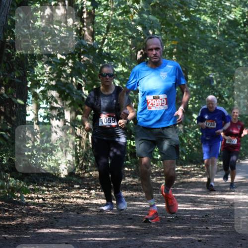 28.09.2025 - 33. Volkslauf durch das schöne Alstertal Strokosch-Dieckow http://msf.ph/oto/8971341 28.09.2025 12:12:19 Laufen 1059, 2999, 1728 meine-sportfotos.de