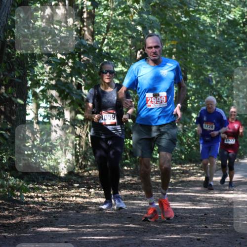 28.09.2025 - 33. Volkslauf durch das schöne Alstertal Strokosch-Dieckow http://msf.ph/oto/8971342 28.09.2025 12:12:19 Laufen 1059, 2999, 1728, 1677 meine-sportfotos.de
