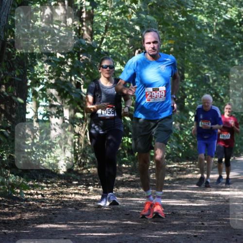 28.09.2025 - 33. Volkslauf durch das schöne Alstertal Strokosch-Dieckow http://msf.ph/oto/8971343 28.09.2025 12:12:19 Laufen 059, 2999, 1077 meine-sportfotos.de