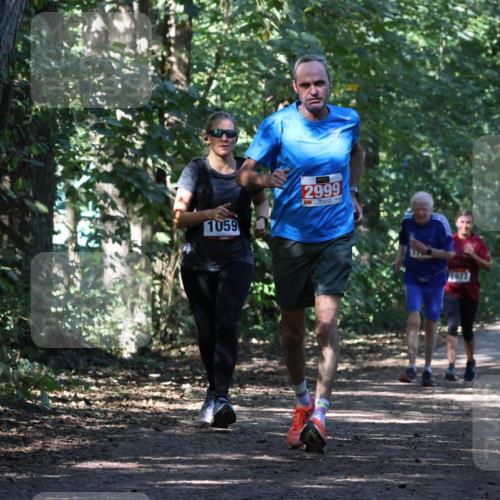28.09.2025 - 33. Volkslauf durch das schöne Alstertal Strokosch-Dieckow http://msf.ph/oto/8971344 28.09.2025 12:12:19 Laufen 1059, 2999, 1077 meine-sportfotos.de