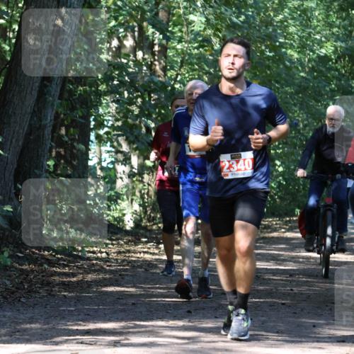 28.09.2025 - 33. Volkslauf durch das schöne Alstertal Strokosch-Dieckow http://msf.ph/oto/8971345 28.09.2025 12:12:28 Laufen 2340 meine-sportfotos.de