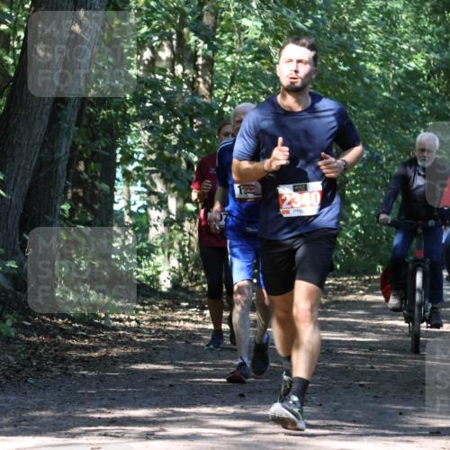 28.09.2025 - 33. Volkslauf durch das schöne Alstertal Strokosch-Dieckow http://msf.ph/oto/8971346 28.09.2025 12:12:28 Laufen 2340 meine-sportfotos.de