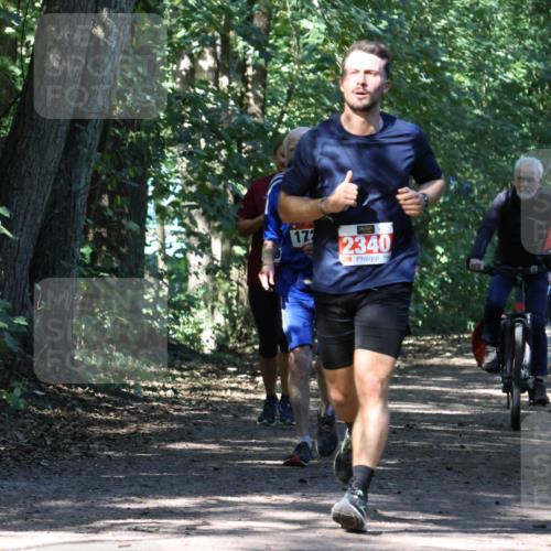 28.09.2025 - 33. Volkslauf durch das schöne Alstertal Strokosch-Dieckow http://msf.ph/oto/8971347 28.09.2025 12:12:28 Laufen 172, 2340 meine-sportfotos.de