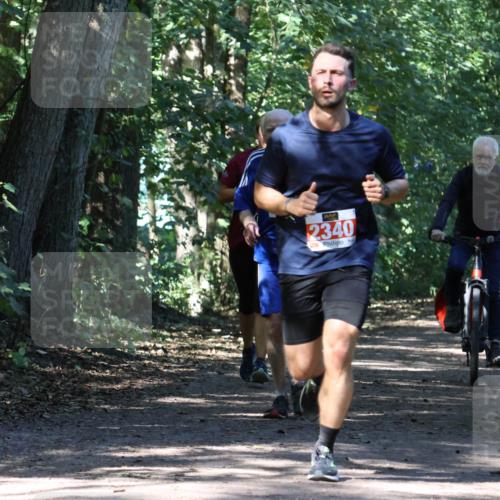 28.09.2025 - 33. Volkslauf durch das schöne Alstertal Strokosch-Dieckow http://msf.ph/oto/8971349 28.09.2025 12:12:28 Laufen 2340 meine-sportfotos.de