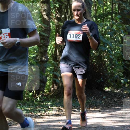 28.09.2025 - 33. Volkslauf durch das schöne Alstertal Strokosch-Dieckow http://msf.ph/oto/8971361 28.09.2025 12:12:50 Laufen 22, 25, 1102 meine-sportfotos.de