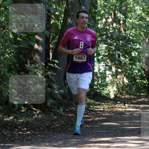 28.09.2025 - 33. Volkslauf durch das schöne Alstertal Strokosch-Dieckow http://msf.ph/oto/8971363 28.09.2025 12:12:52 Laufen 1687, 2270 meine-sportfotos.de