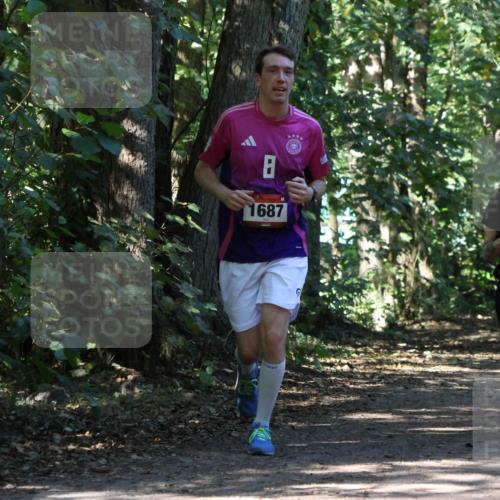 28.09.2025 - 33. Volkslauf durch das schöne Alstertal Strokosch-Dieckow http://msf.ph/oto/8971364 28.09.2025 12:12:52 Laufen 1687, 2270, 3 meine-sportfotos.de