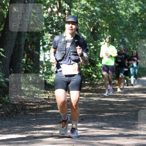 28.09.2025 - 33. Volkslauf durch das schöne Alstertal Strokosch-Dieckow http://msf.ph/oto/8971367 28.09.2025 12:12:54 Laufen 70 meine-sportfotos.de