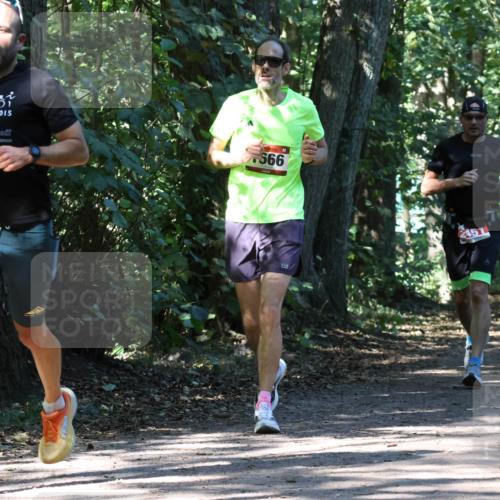 28.09.2025 - 33. Volkslauf durch das schöne Alstertal Strokosch-Dieckow http://msf.ph/oto/8971373 28.09.2025 12:13:03 Laufen 2015, 566, 2151 meine-sportfotos.de